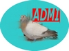 Admin Admin