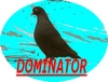 dominator dominator