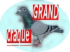 grand craque grand craque
