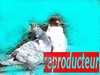 reproducteur reproducteur